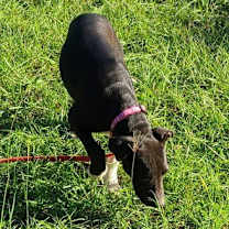 Thumbnail photo of Oakley #3