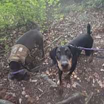 Thumbnail photo of Zara #4