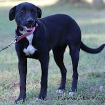 Thumbnail photo of Malibu #1