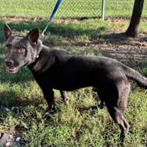 Thumbnail photo of Isaac #2