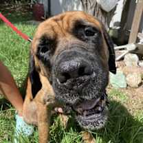 Thumbnail photo of Heath #3