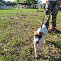 Thumbnail photo of Genevieve #2