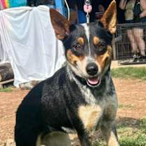 Thumbnail photo of Eleanor #2