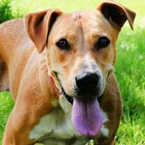 Thumbnail photo of Echo #1