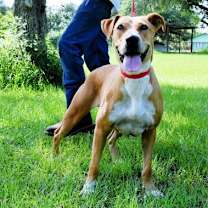 Thumbnail photo of Echo #2