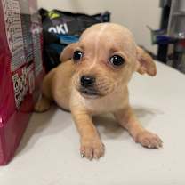 Thumbnail photo of Autumn #4