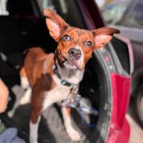 Thumbnail photo of Jimmy #3