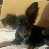 Thumbnail photo of Sally Fay #2