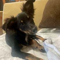 Thumbnail photo of Sally Fay #3