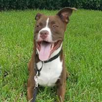 Thumbnail photo of Tucker 2 #3