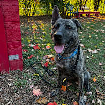 Thumbnail photo of Montana #4