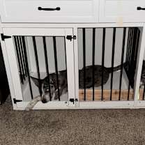 Thumbnail photo of Maci #4