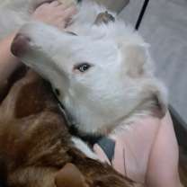 Thumbnail photo of Marshmellow #2