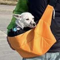 Thumbnail photo of Wicket #4