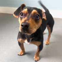 Thumbnail photo of Walter #2