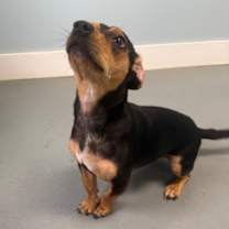 Thumbnail photo of Walter #3