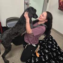 Thumbnail photo of Mr. Clean #3