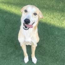 Thumbnail photo of Marvin #1