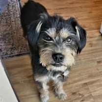 Thumbnail photo of Calyx #3