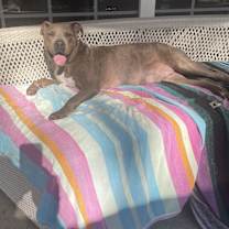 Thumbnail photo of Princess #1