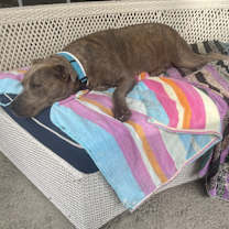 Thumbnail photo of Princess #2