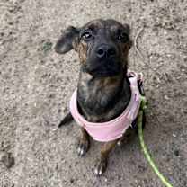 Thumbnail photo of Sally #1