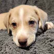 Thumbnail photo of Beverly AL #1