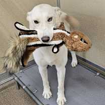 Thumbnail photo of Spice #4