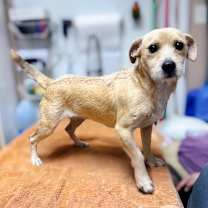 Thumbnail photo of Charlotte #3