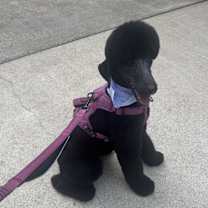 Thumbnail photo of Mars #1