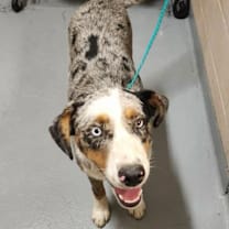 Thumbnail photo of Lola #3