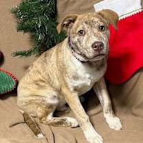 Thumbnail photo of **LUKE** #1