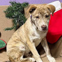 Thumbnail photo of **LUKE** #2