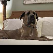 Thumbnail photo of Chili Mac #4