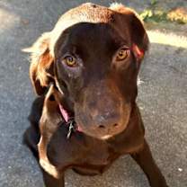 Thumbnail photo of Lana #2