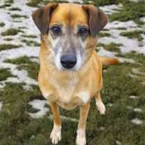 Thumbnail photo of Fiona #1