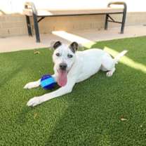 Thumbnail photo of Steve #1