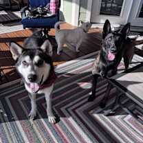 Thumbnail photo of Mato #2