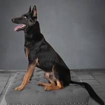 Thumbnail photo of Trooper #4