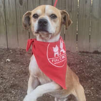 Thumbnail photo of Pee Wee #2