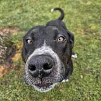 Thumbnail photo of Dotty #2