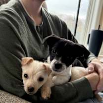 Thumbnail photo of Freya #4