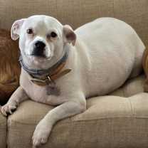 Thumbnail photo of Red #1