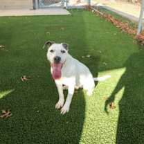 Thumbnail photo of Steve #2