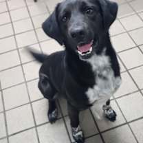 Thumbnail photo of Jumper #1