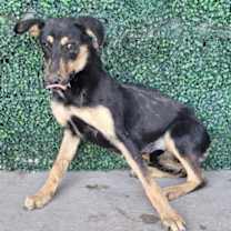 Thumbnail photo of 59946773 #3