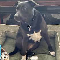 Thumbnail photo of Kaylee #2