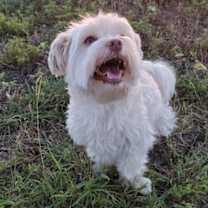 Thumbnail photo of Hercules #1