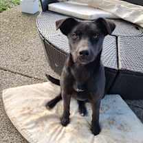 Thumbnail photo of Patience #2