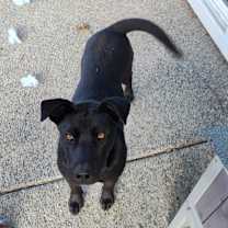 Thumbnail photo of Patience #3